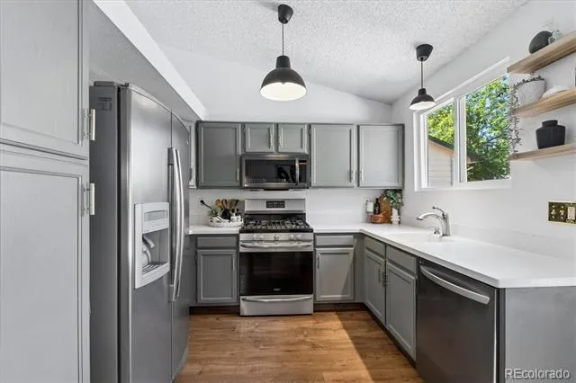 119 S Pembrook Street Castle Rock, CO 80104