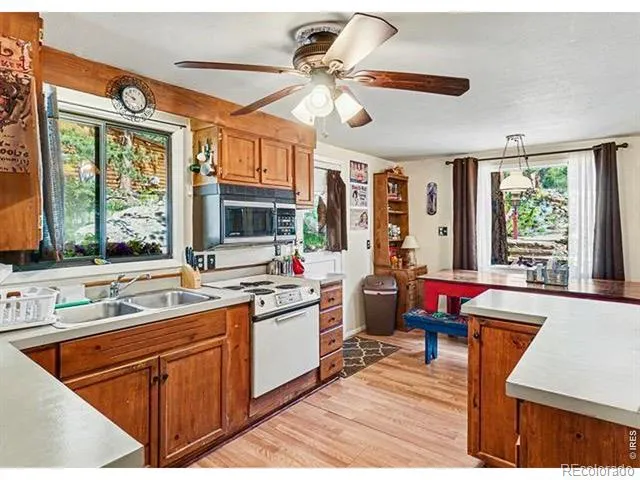 66 Flag Mountain Road Drake, CO 80515