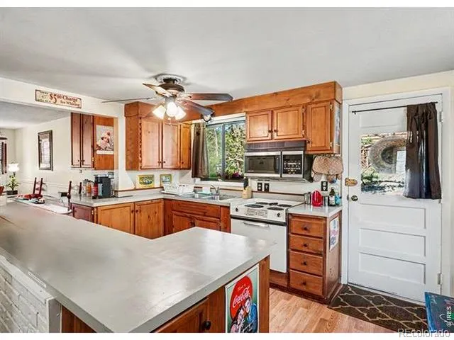 66 Flag Mountain Road Drake, CO 80515