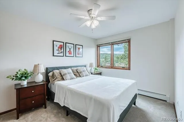 3710 Ryan Gulch Road #375 Silverthorne, CO 80498
