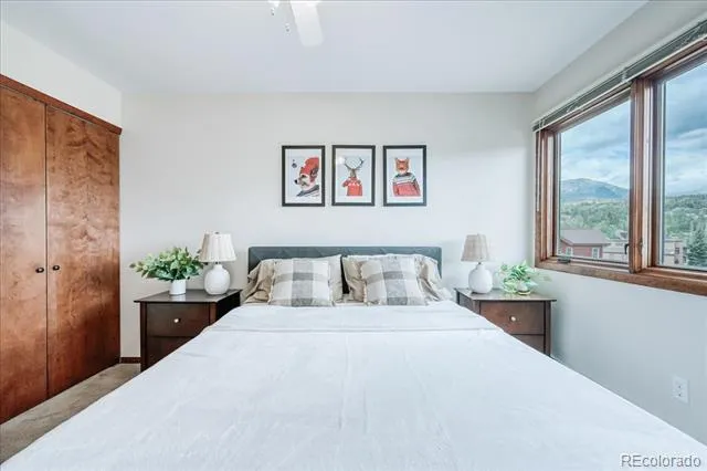3710 Ryan Gulch Road #375 Silverthorne, CO 80498