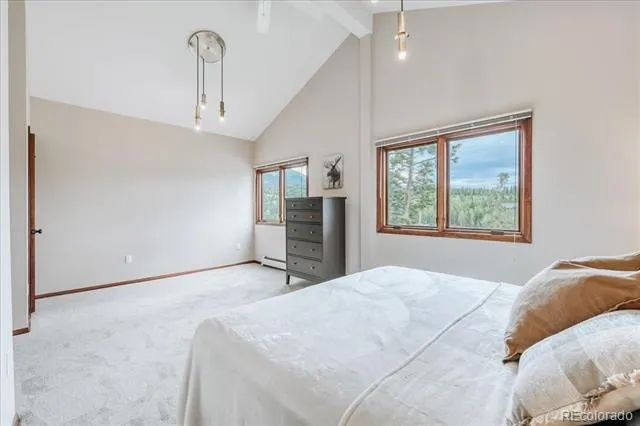 3710 Ryan Gulch Road #375 Silverthorne, CO 80498