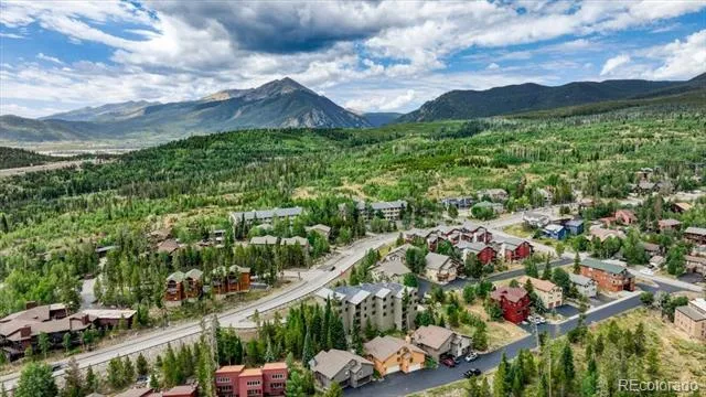 3710 Ryan Gulch Road #375 Silverthorne, CO 80498
