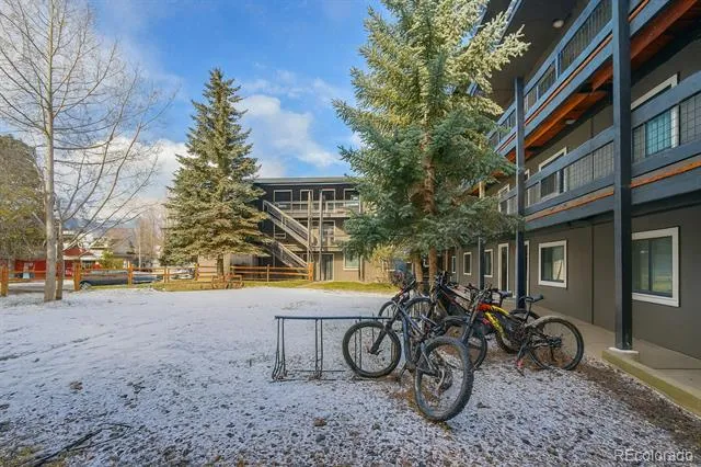 214 S Harris Street #101 Breckenridge, CO 80424