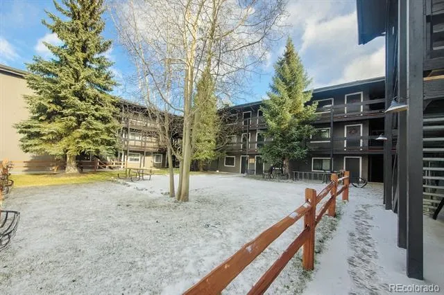 214 S Harris Street #101 Breckenridge, CO 80424