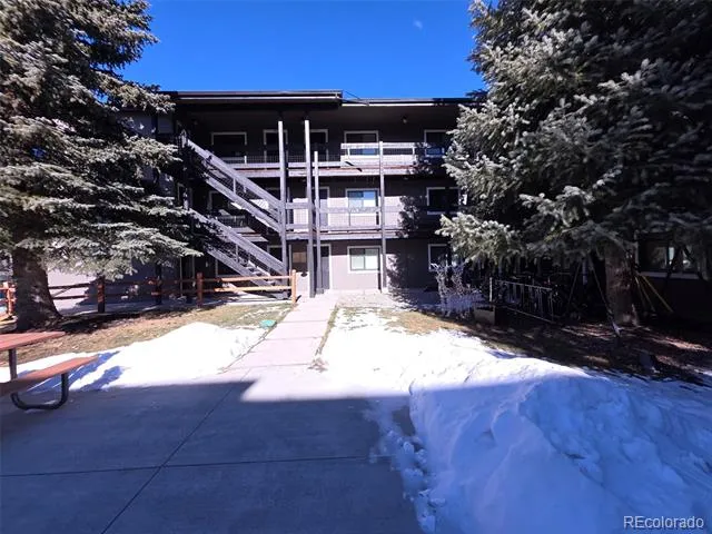 214 S Harris Street #101 Breckenridge, CO 80424