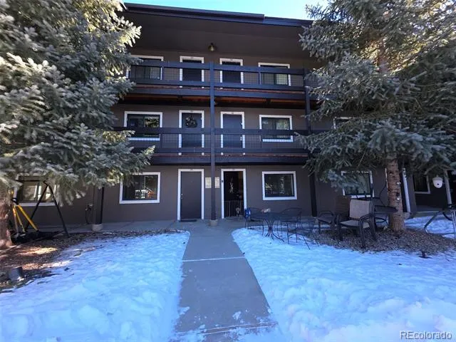 214 S Harris Street #101 Breckenridge, CO 80424