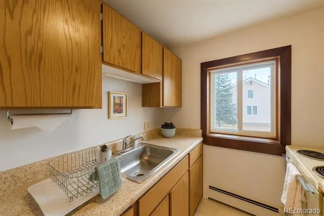 214 S Harris Street #101 Breckenridge, CO 80424