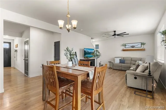 982 Cascade Falls Street Windsor, CO 80550