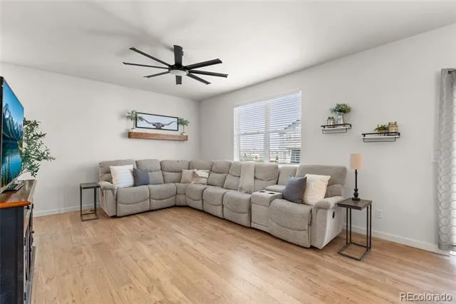 982 Cascade Falls Street Windsor, CO 80550