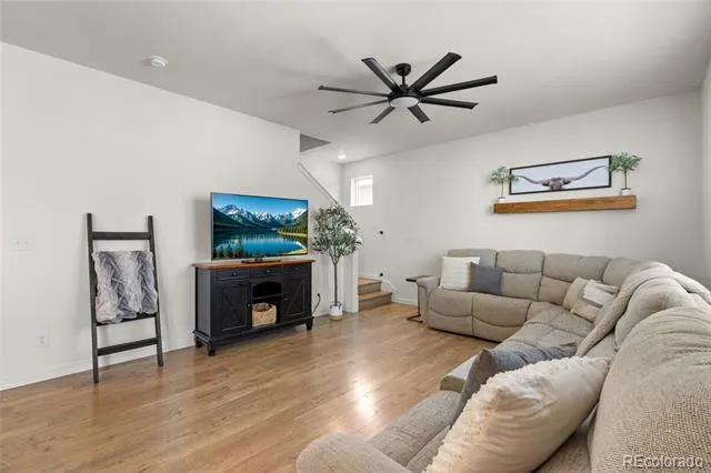 982 Cascade Falls Street Windsor, CO 80550