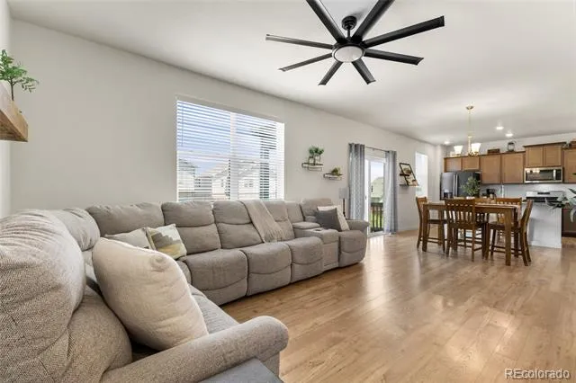 982 Cascade Falls Street Windsor, CO 80550