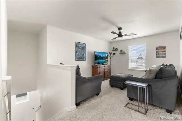 982 Cascade Falls Street Windsor, CO 80550