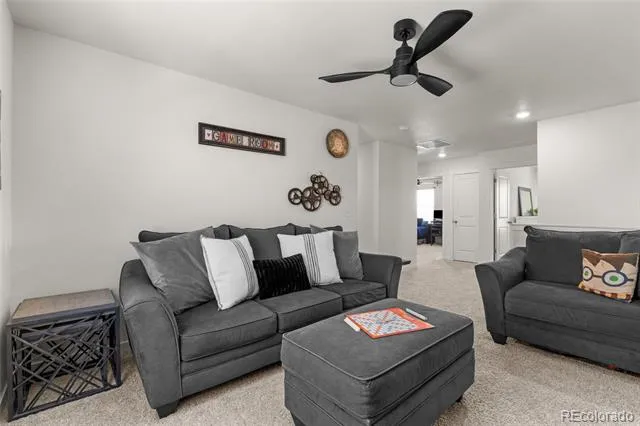 982 Cascade Falls Street Windsor, CO 80550