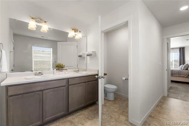 982 Cascade Falls Street Windsor, CO 80550