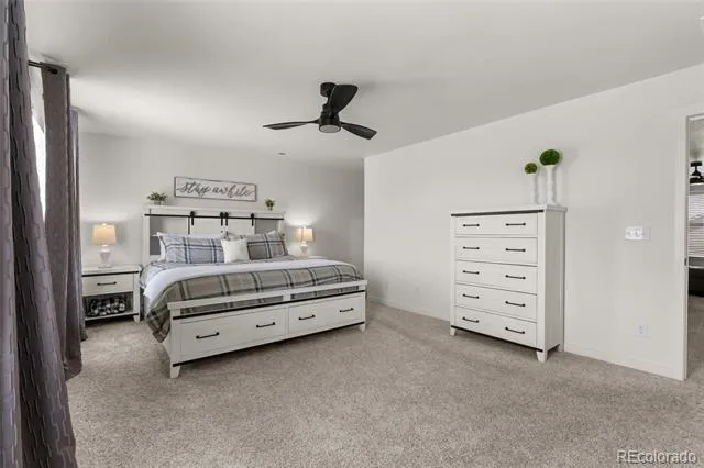 982 Cascade Falls Street Windsor, CO 80550