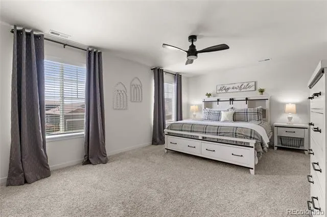 982 Cascade Falls Street Windsor, CO 80550