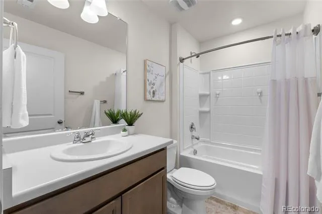 982 Cascade Falls Street Windsor, CO 80550