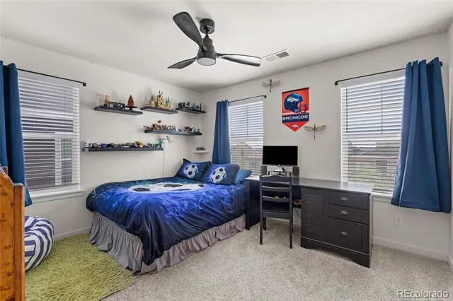 982 Cascade Falls Street Windsor, CO 80550