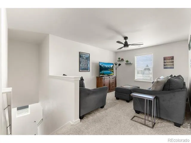 982 Cascade Falls Street Severance, CO 80550