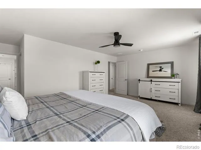 982 Cascade Falls Street Severance, CO 80550