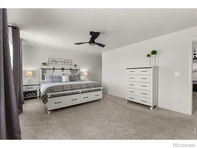 982 Cascade Falls Street Severance, CO 80550
