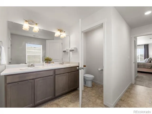 982 Cascade Falls Street Severance, CO 80550