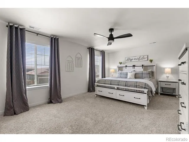 982 Cascade Falls Street Severance, CO 80550