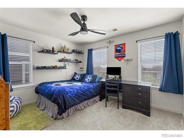 982 Cascade Falls Street Severance, CO 80550