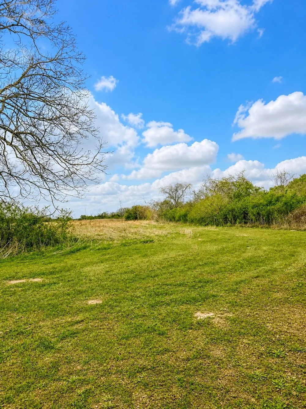 W Fm 1161 Wharton, TX 77488