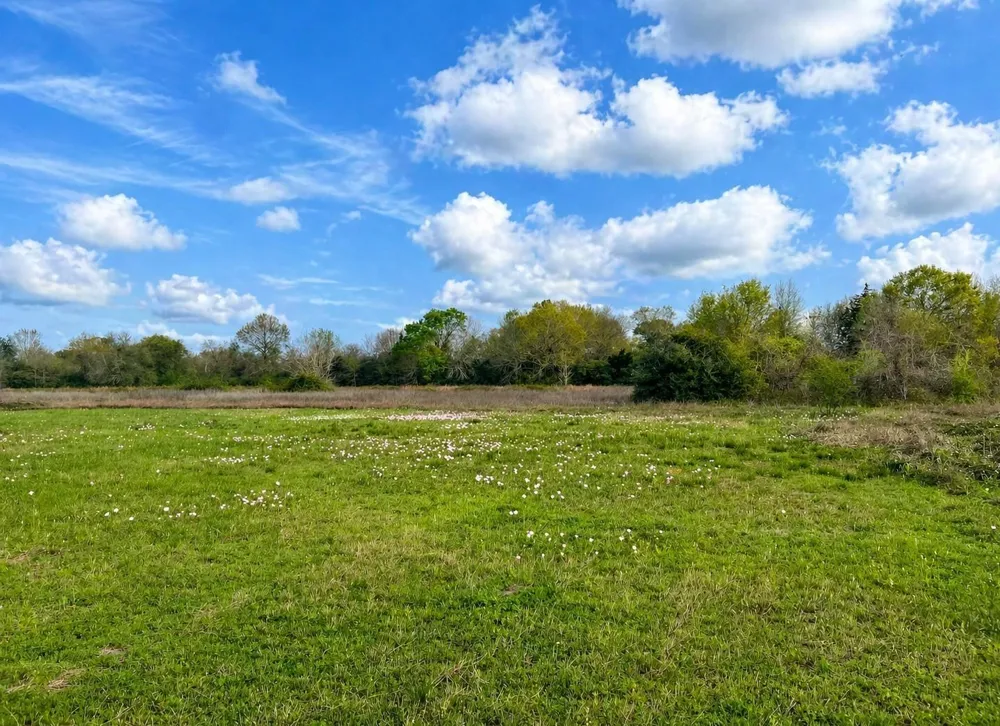 W Fm 1161 Wharton, TX 77488