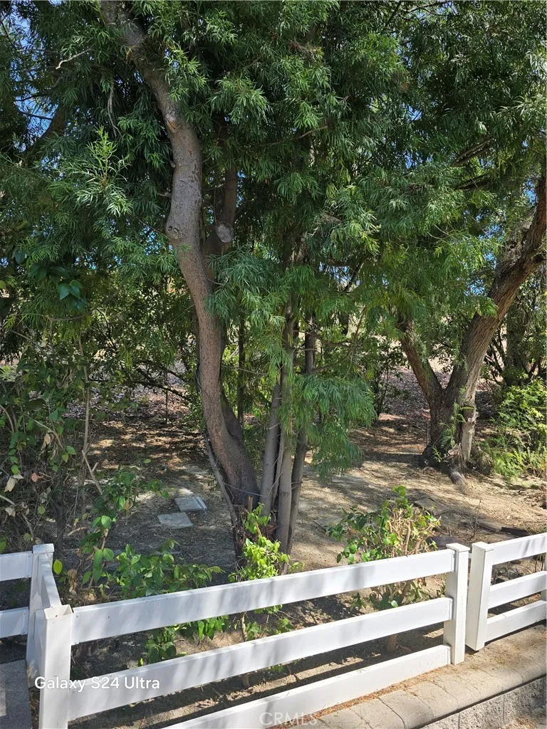 31601 Via Coyote Trabuco Canyon, CA 90679