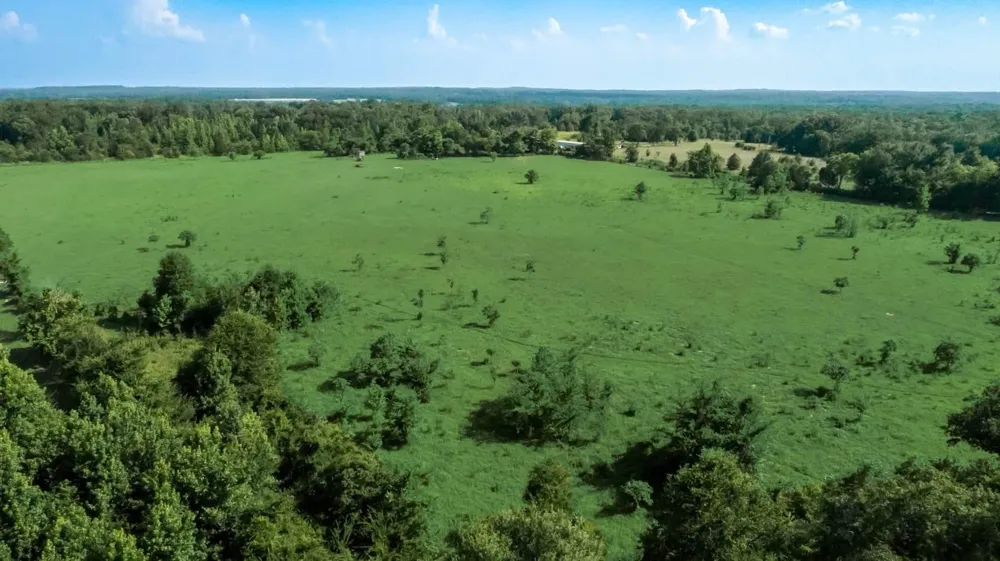 351 County Road 351 Oakwood, TX 75855