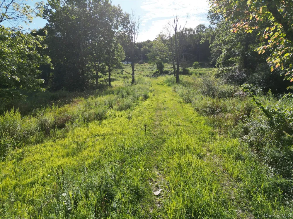 36 Gem Mountain Lagrangeville, NY 12540