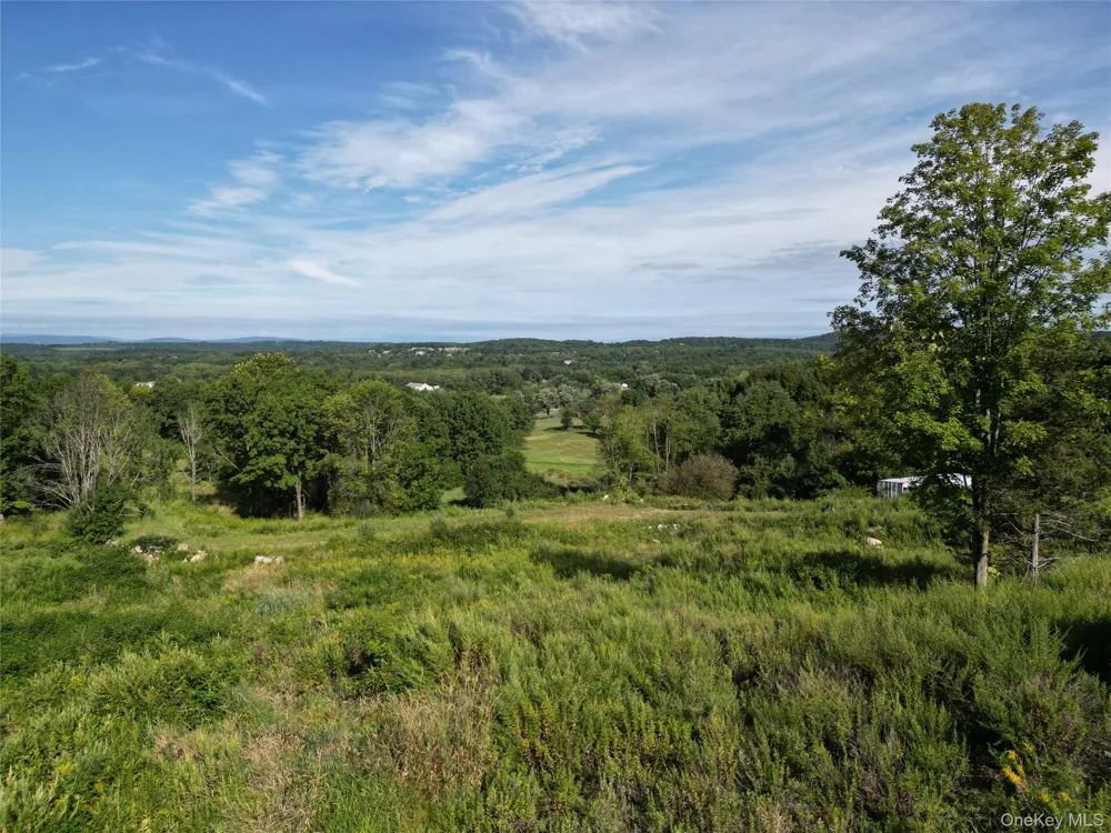 36 Gem Mountain Lagrangeville, NY 12540