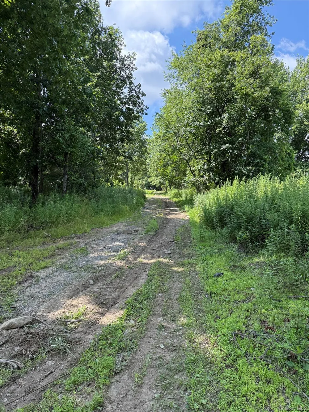 36 Gem Mountain Lagrangeville, NY 12540