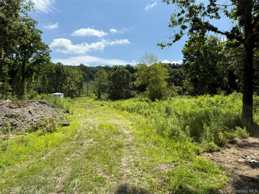 36 Gem Mountain Lagrangeville, NY 12540