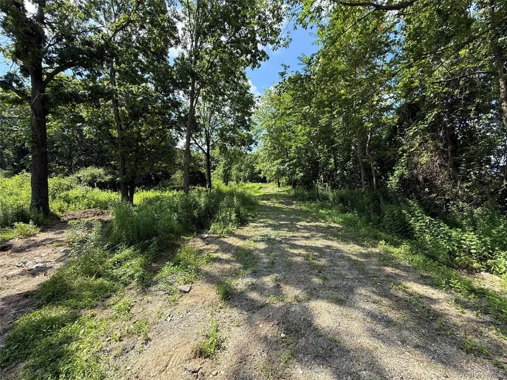 36 Gem Mountain Lagrangeville, NY 12540