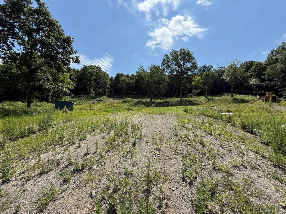 36 Gem Mountain Lagrangeville, NY 12540