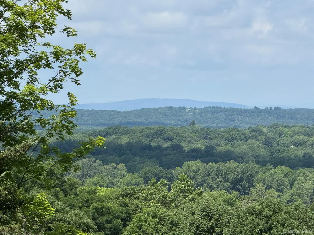 36 Gem Mountain Lagrangeville, NY 12540