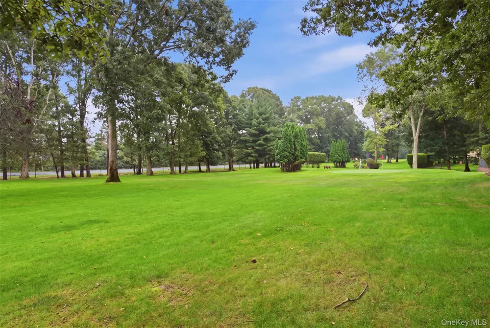 238 Blackpool Court #A Ridge, NY 11961