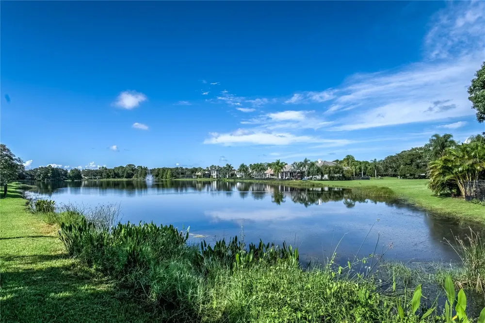 14732 SAN MARSALA COURT Tampa, FL 33626