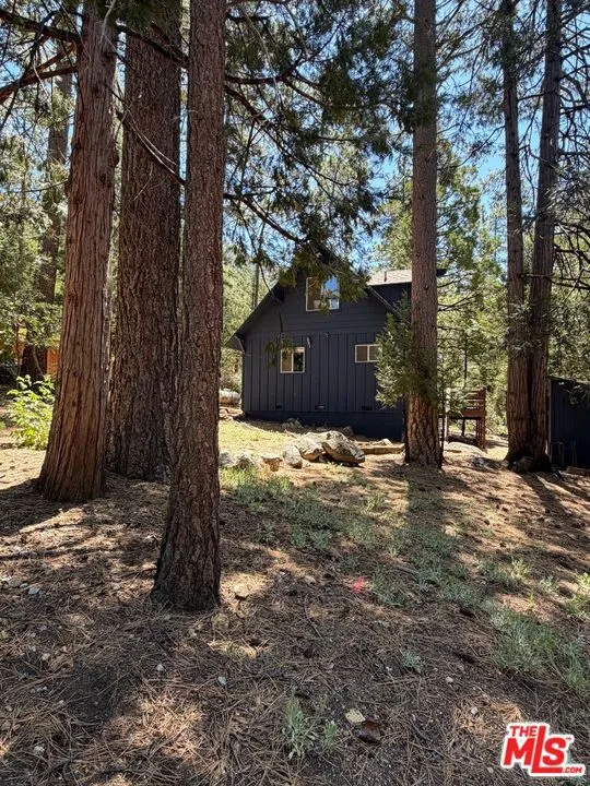 25470 Scenic Drive Idyllwild, CA 92549
