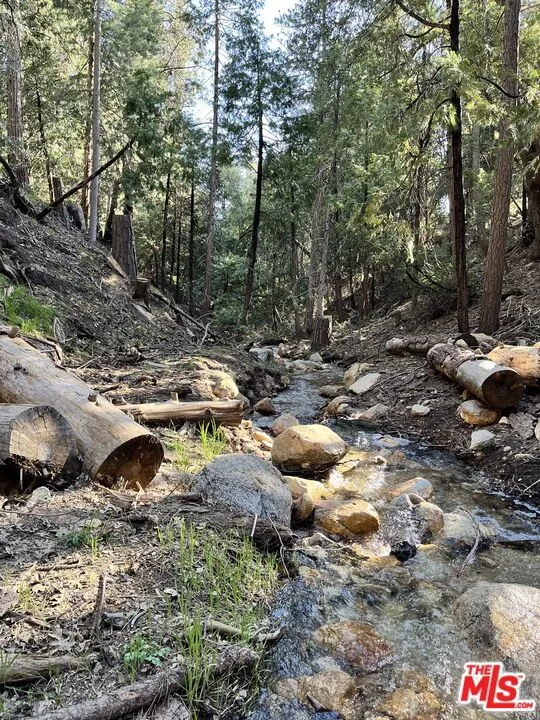 25470 Scenic Drive Idyllwild, CA 92549