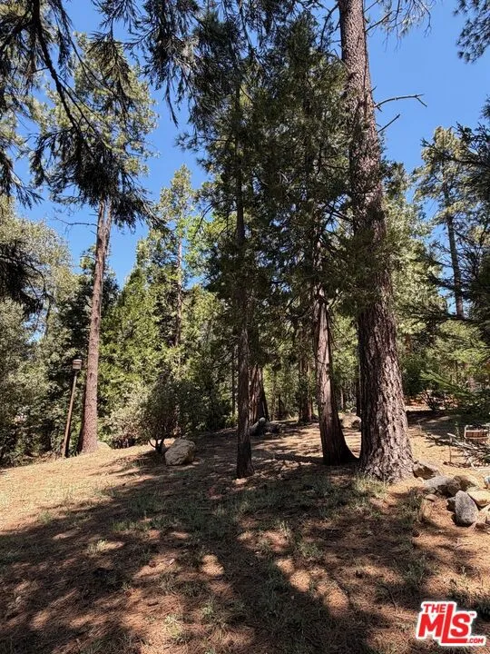 25470 Scenic Drive Idyllwild, CA 92549