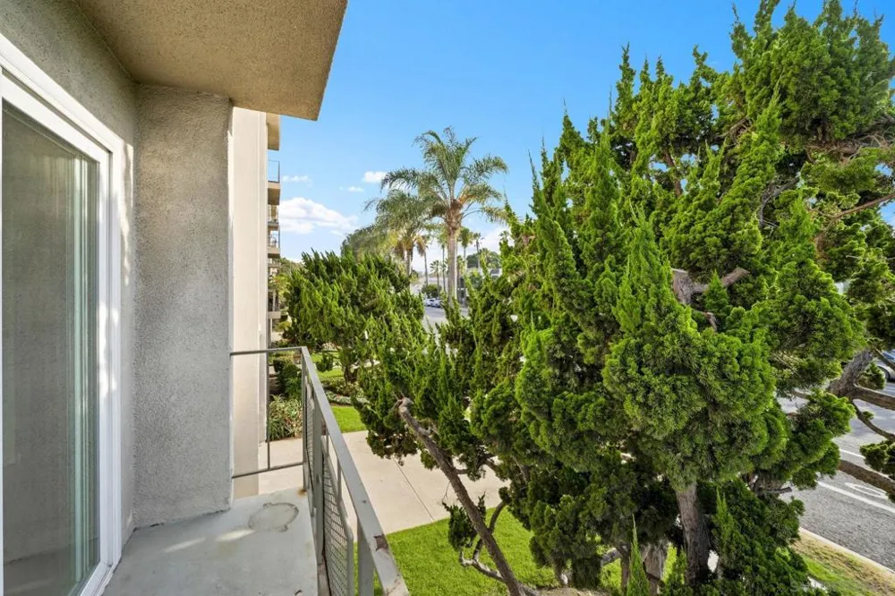 3431 Park Blvd #202 San Diego, CA 92103