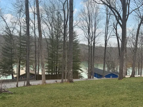 559 Hickman Shores Rd
