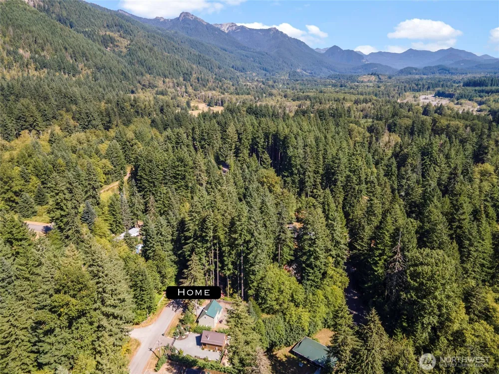 31206 553rd Street E Ashford, WA 98304