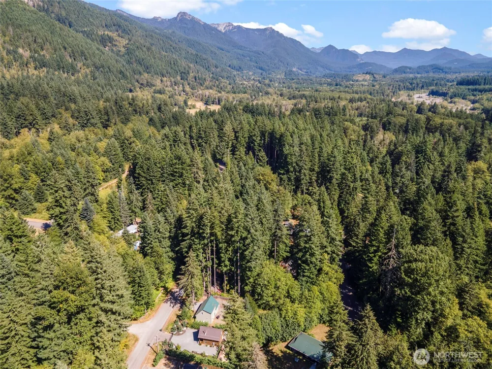 31206 553rd Street E Ashford, WA 98304