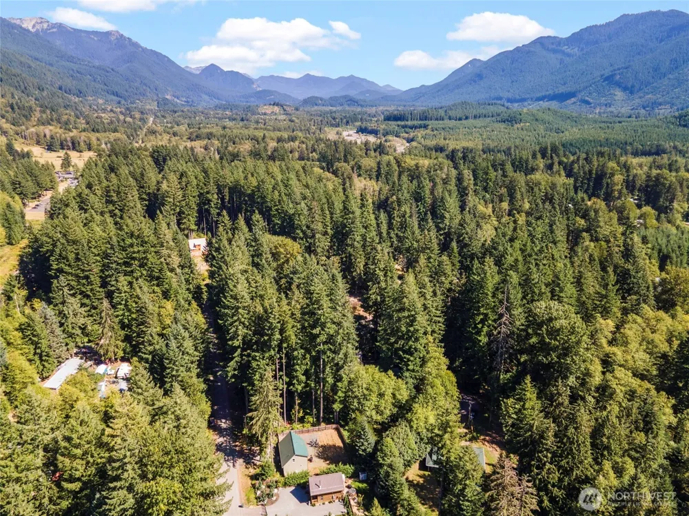31206 553rd Street E Ashford, WA 98304